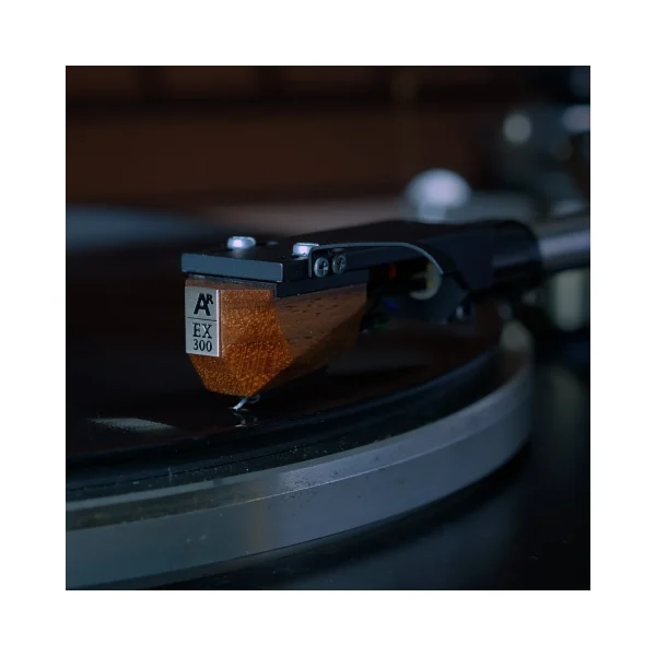 Analog Relax EX300