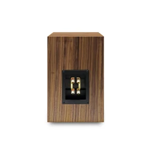Audio Note AX One