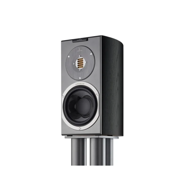 Audiovector R 1 Avantgarde