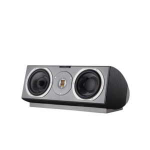 Audiovector R C Avantgarde