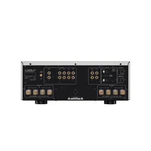Luxman L-505Z Rear Panel