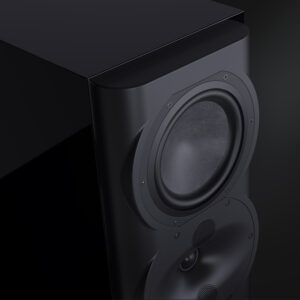 Perlisten Audio R5t (pair)