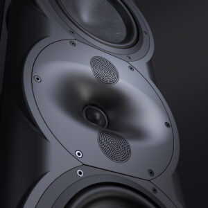 Perlisten Audio R5t (pair)